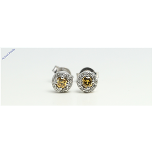 14k White Round claw set butterfly post earring with diamond set bezel (0.28ct, Yellow(Treated), VS2)