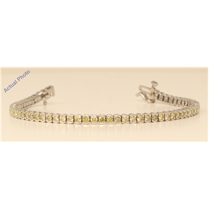 18k White Gold Round Bezel Chic sporty modern classic cup diamond tennis bracelet(3.02 ct, Yellow, VS)